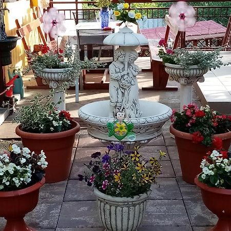 Casa Voica Daire Turda Dış mekan fotoğraf