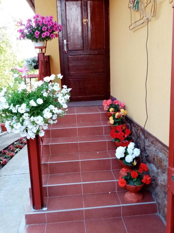Casa Voica Daire Turda Dış mekan fotoğraf
