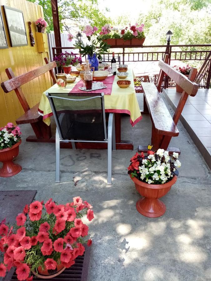 Casa Voica Daire Turda Dış mekan fotoğraf