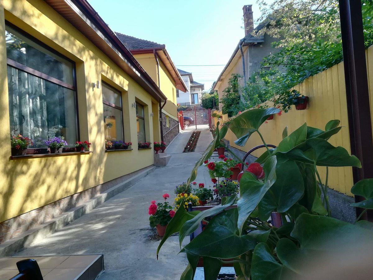 Casa Voica Daire Turda Dış mekan fotoğraf