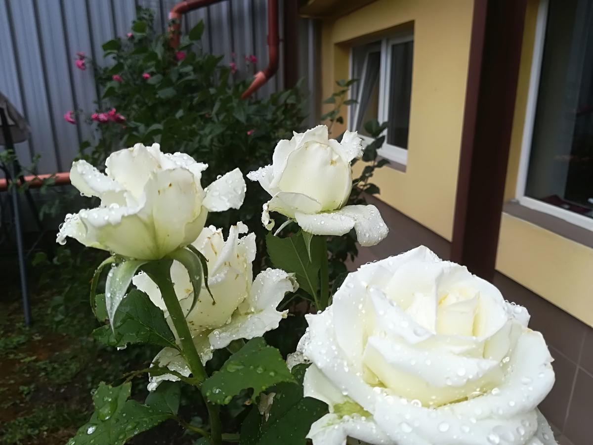 Casa Voica Daire Turda Dış mekan fotoğraf