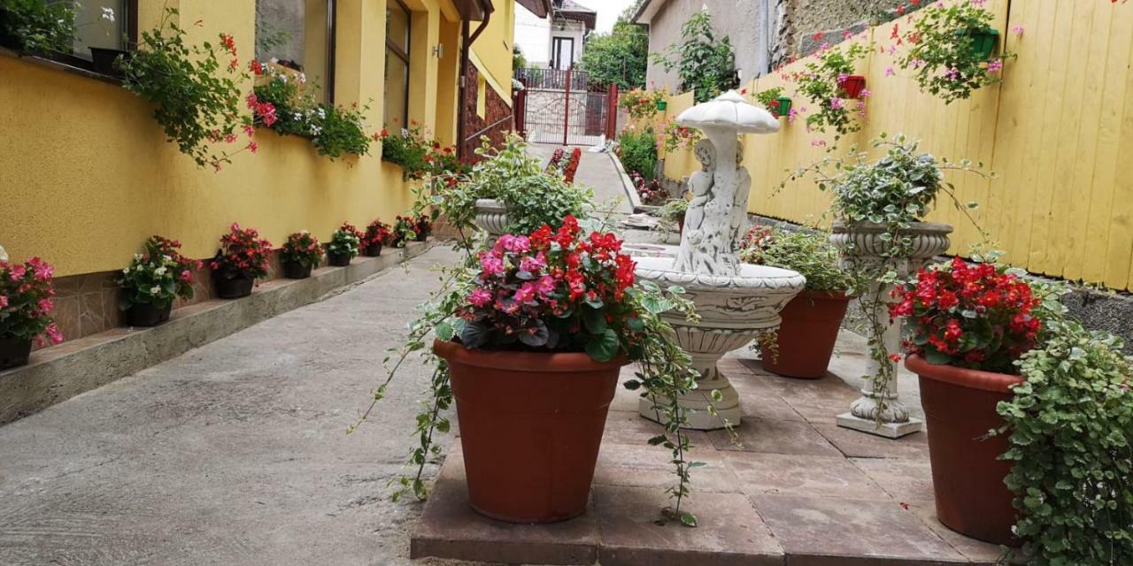 Casa Voica Daire Turda Dış mekan fotoğraf